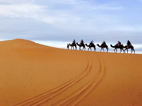 Local Morocco Tours-非斯必去景点