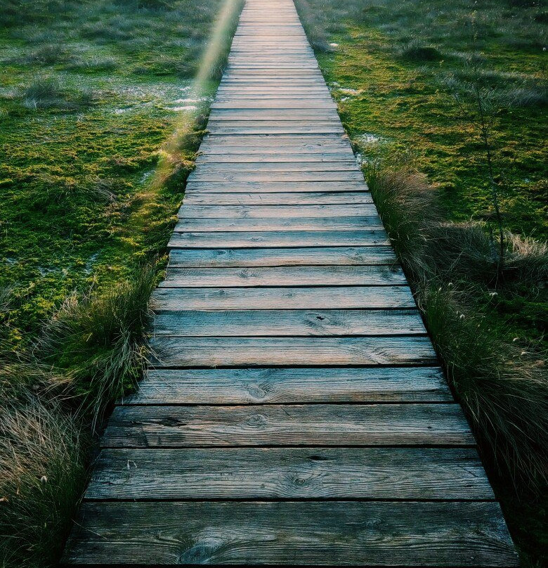 Berezina Biosphere Reserve-Domzharytsy必去景点