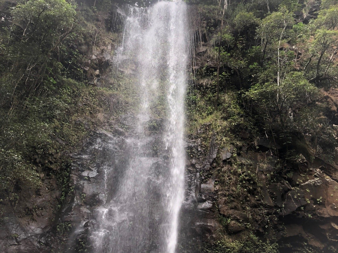 Secret Falls Trail-Wailua必去景点