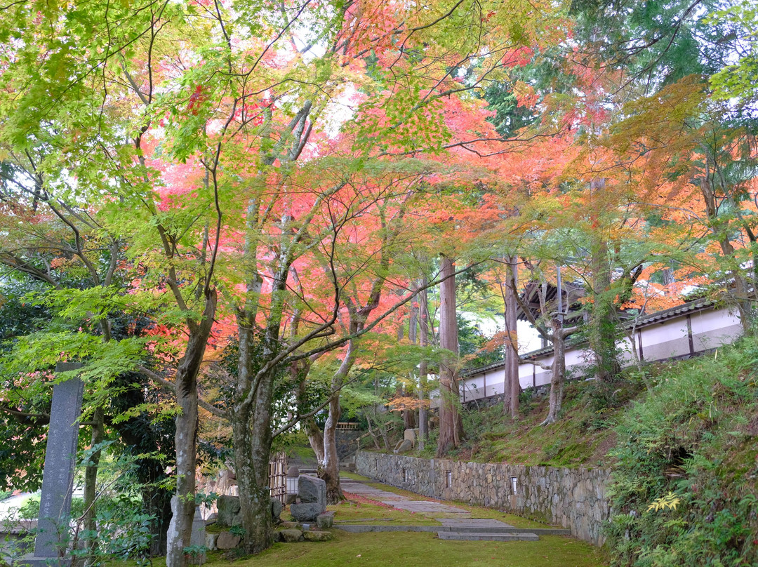 Myoshu-ji Temple-龟冈市必去景点