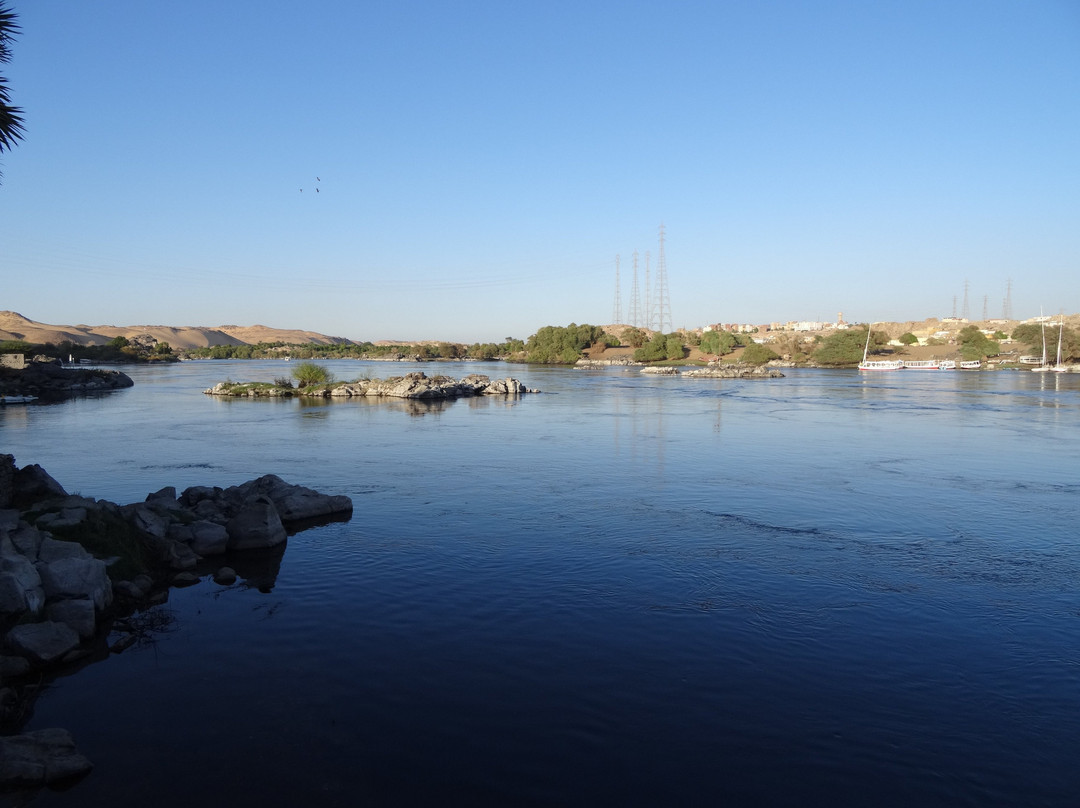 阿纳卡图努比亚旅馆主图