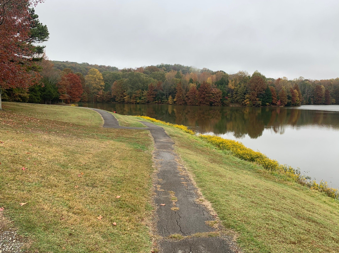 Ferne Clyffe State Park景点图片