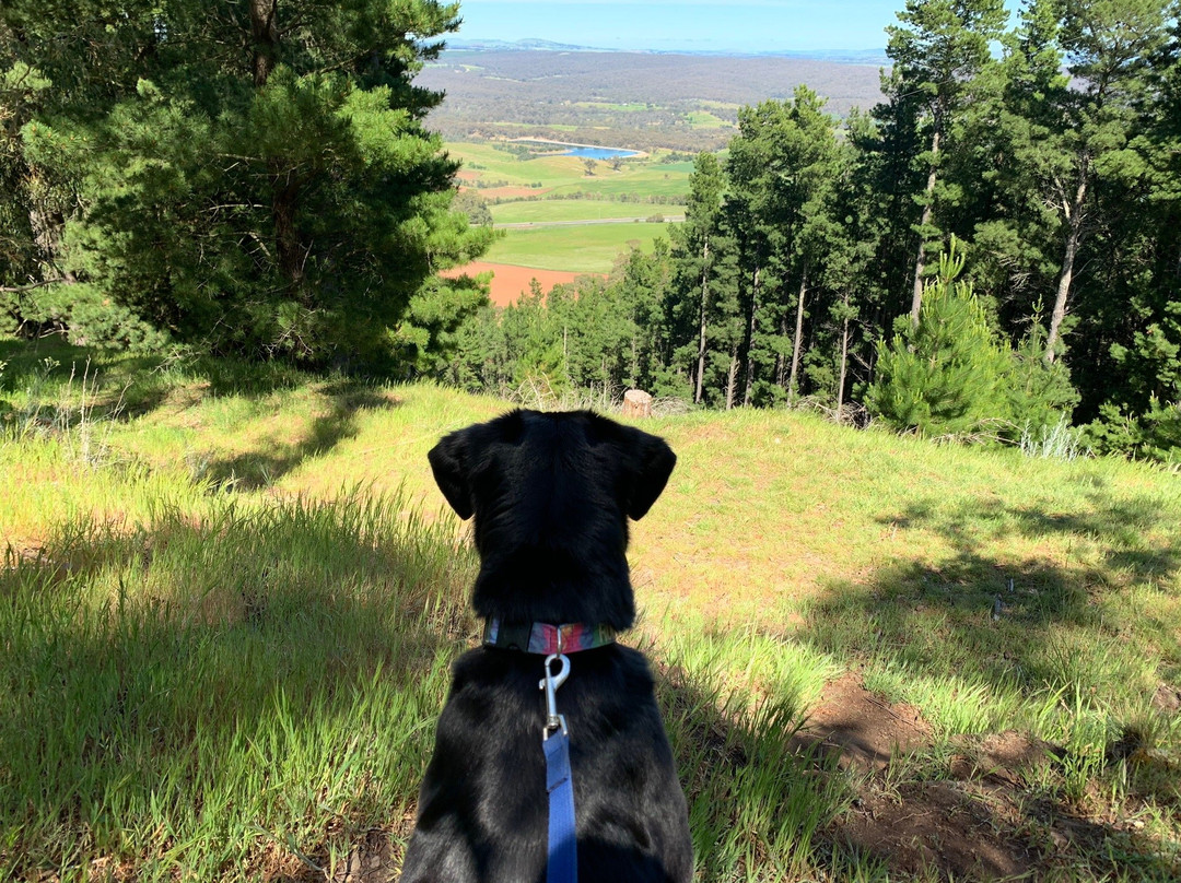 Mount Franklin-Hepburn Springs必去景点