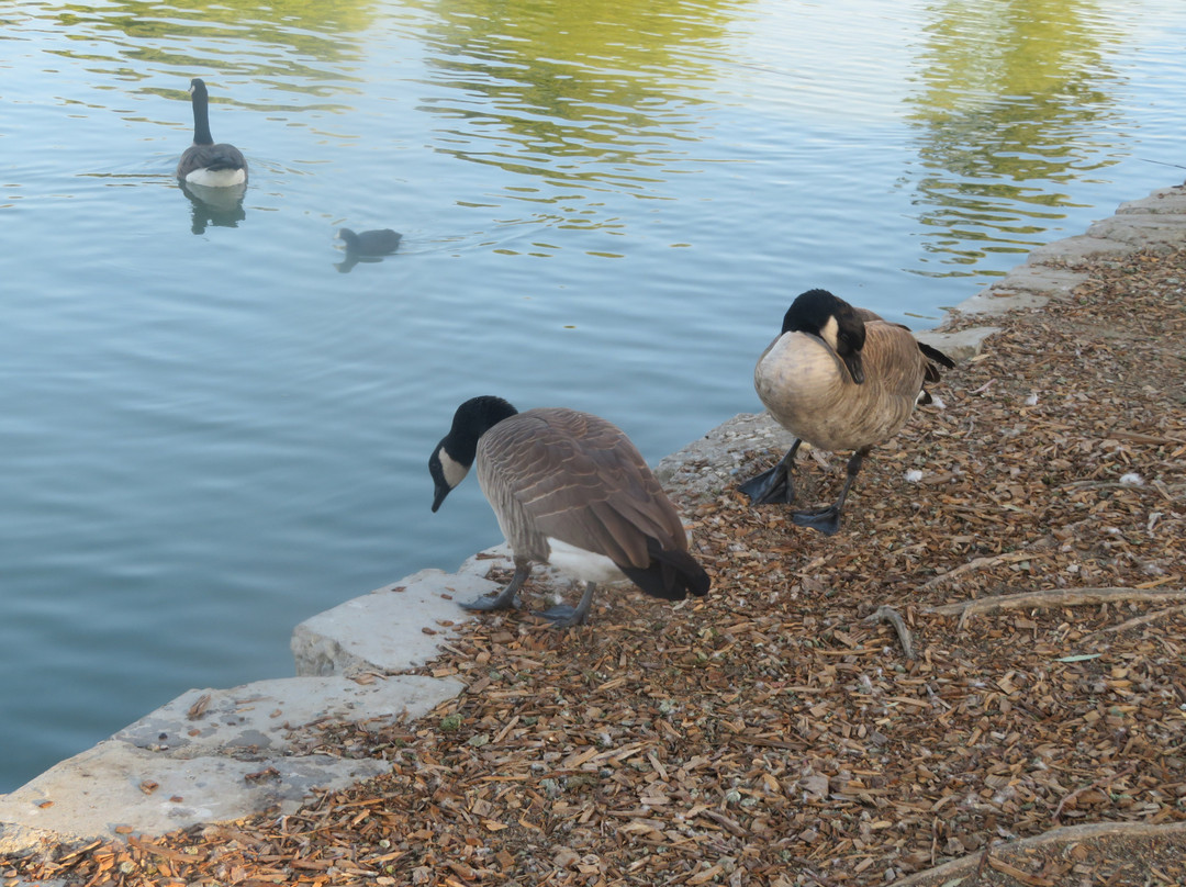 中央公园-费利蒙必去景点