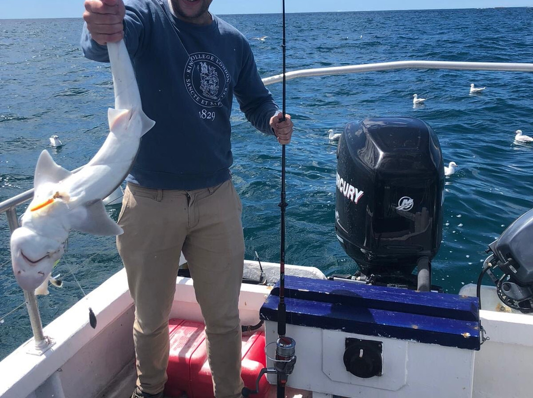 Sea-All Fishing and Marine Tours景点图片