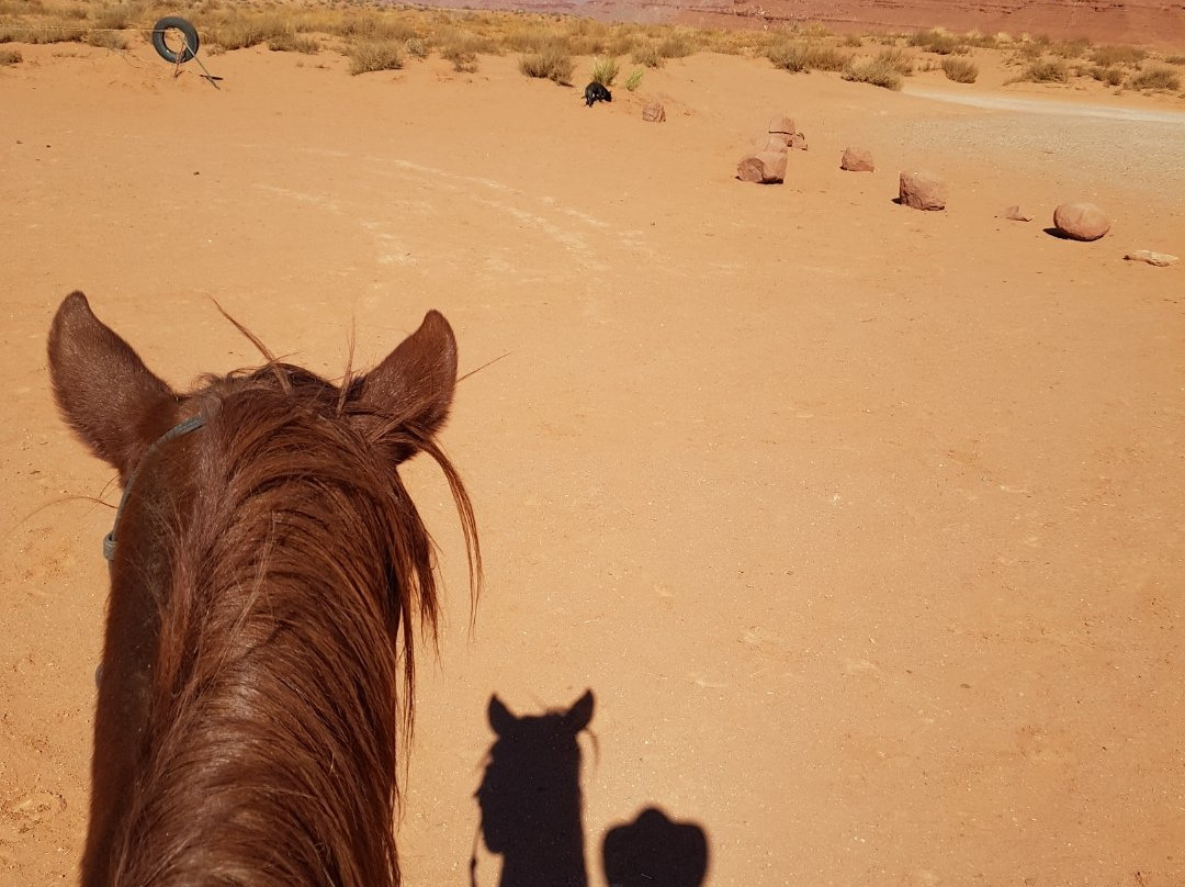 Dineh Trail Rides-纪念碑公园必去景点