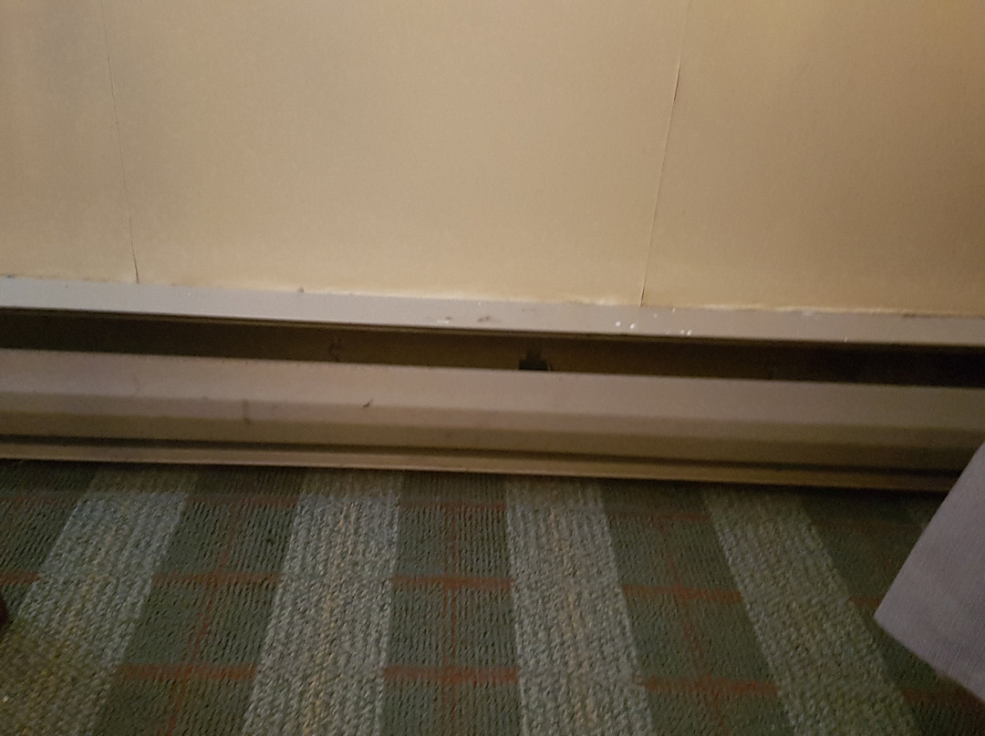 Albatross Hotel主图