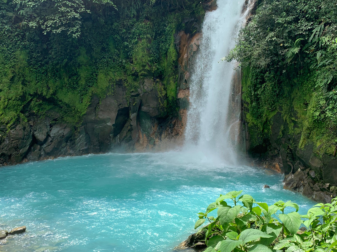 Dees Costa Rica Tours景点图片