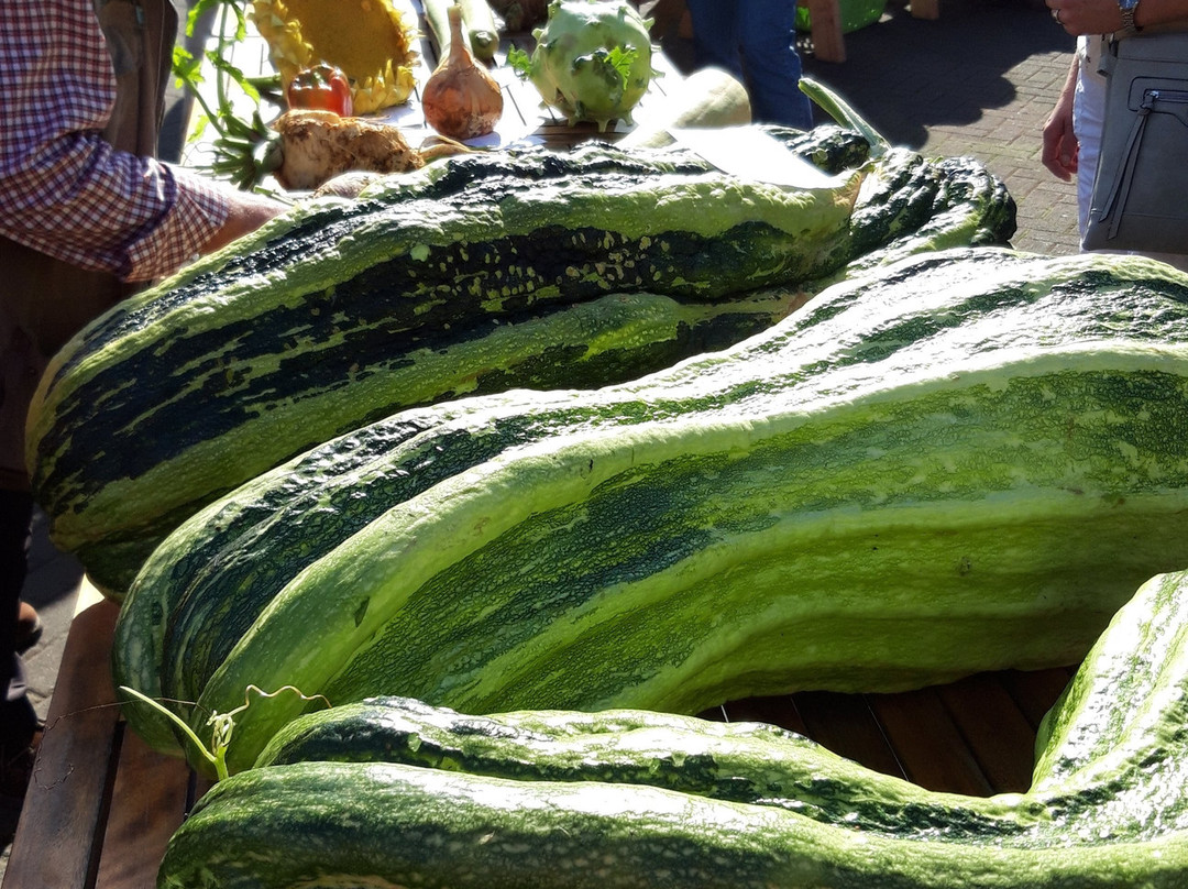 Krewelshof-Lohmar必去景点