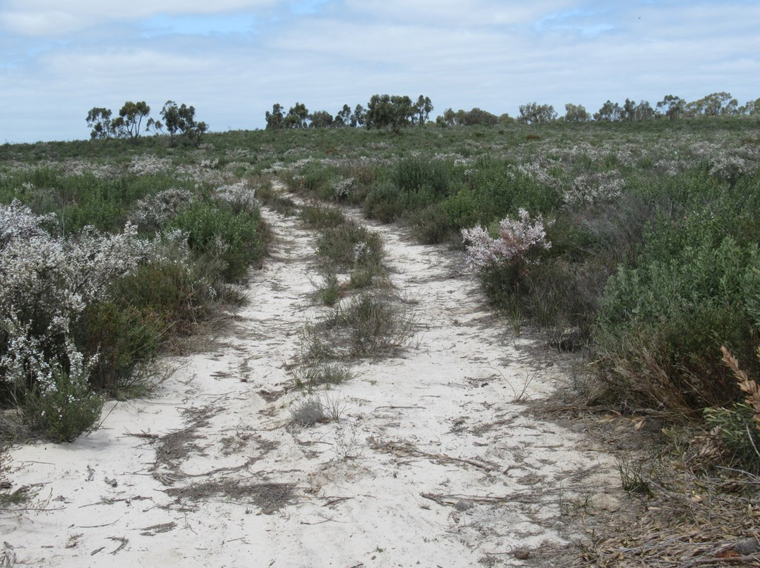 Little Desert National Park景点图片