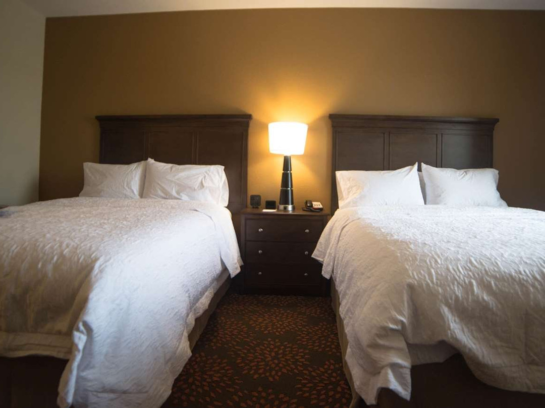 Hampton Inn & Suites Hartsville主图