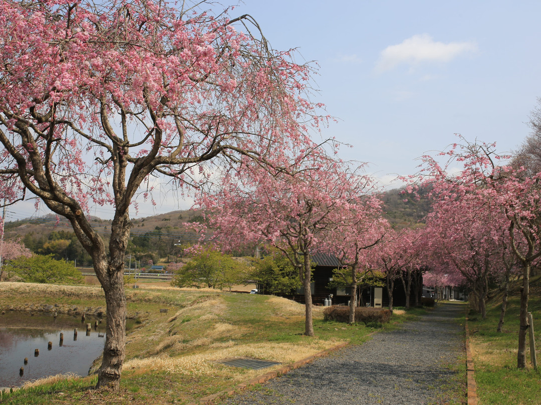 Bussho-Ji Temple景点图片