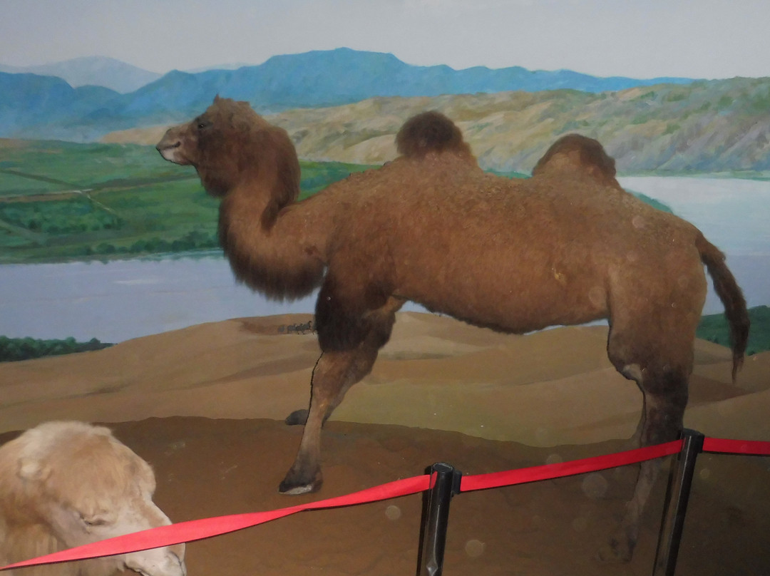 Yellow River Palace-中卫市必去景点