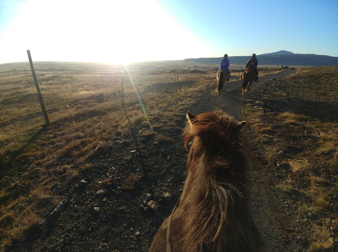 Eldhestar Volcano Horses景点图片