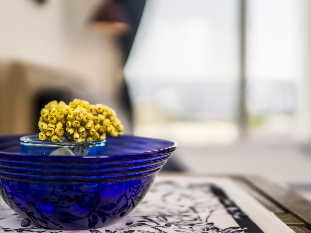 Kahlenberg Apartments主图