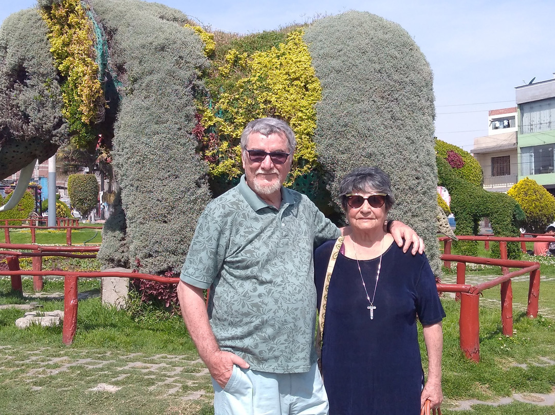 Paseo Cívico-塔克纳必去景点