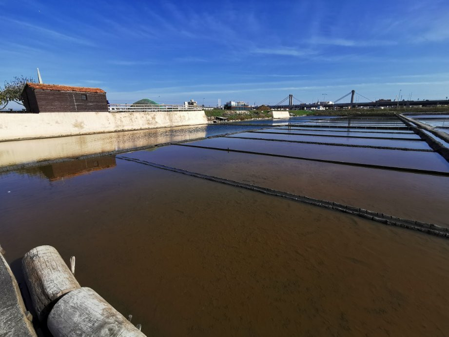 Ecomuseu Marinha da Troncalhada景点图片