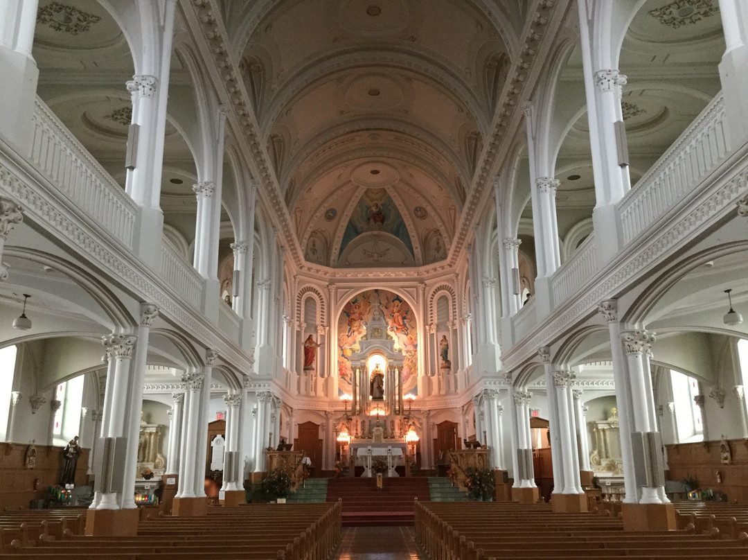 Saint Peter's Church景点图片