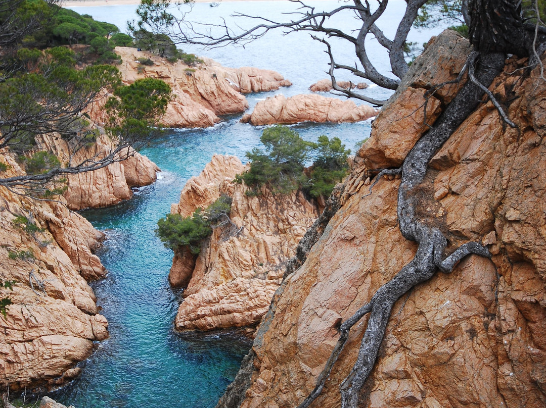 Camí De Ronda景点图片