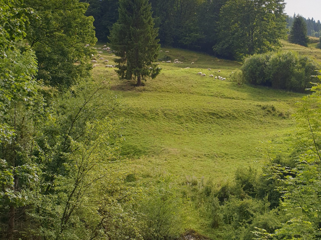 Rezerwat przyrody Biala Woda-Szczawnica必去景点