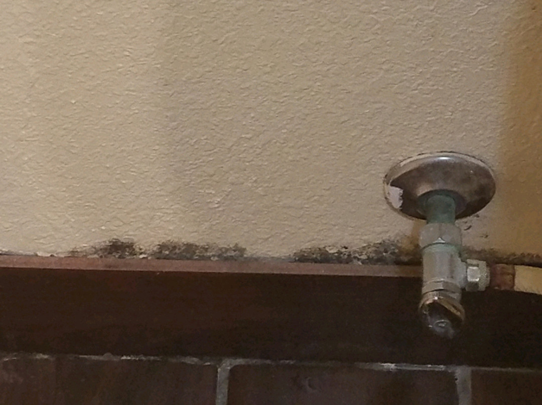 Econo Lodge Inn & Suites主图