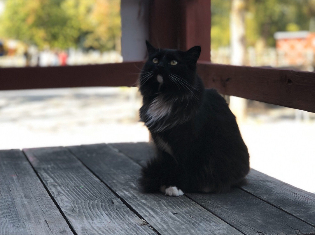 Far Enough Farm-多伦多必去景点