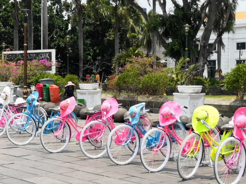 Jakarta Private Tour-雅加达必去景点