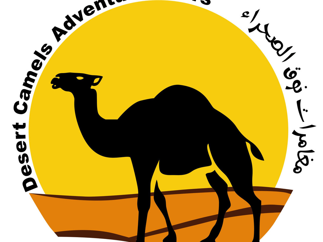 Desert Camels Adventure Tours-尼日瓦必去景点