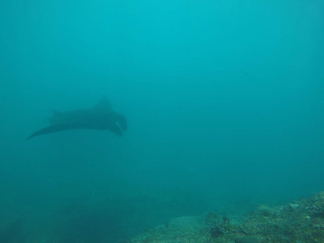 Penida Snorkeling Tour-克隆孔必去景点