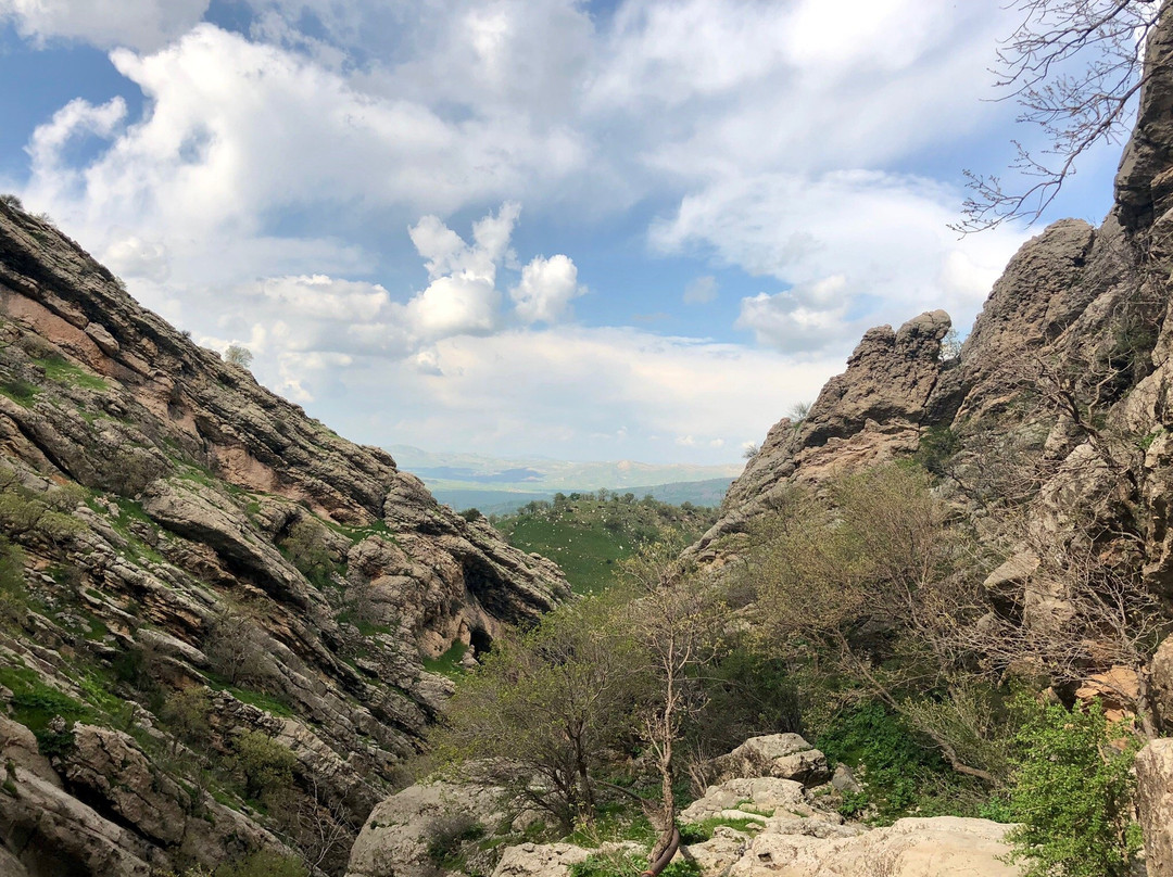 Naram-Sin Rock Relief景点图片