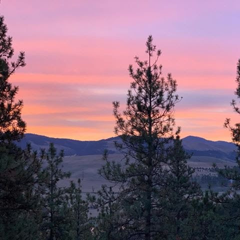 Blue Mountain Bed & Breakfast主图