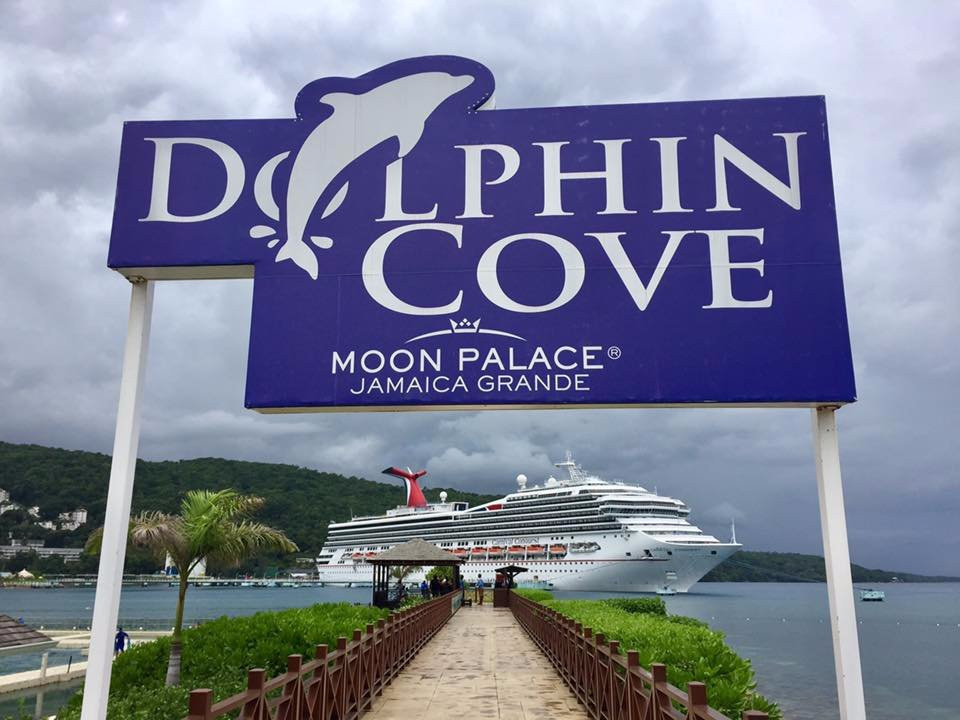 Dolphin Cove Moon Palace Jamaica Grande景点图片