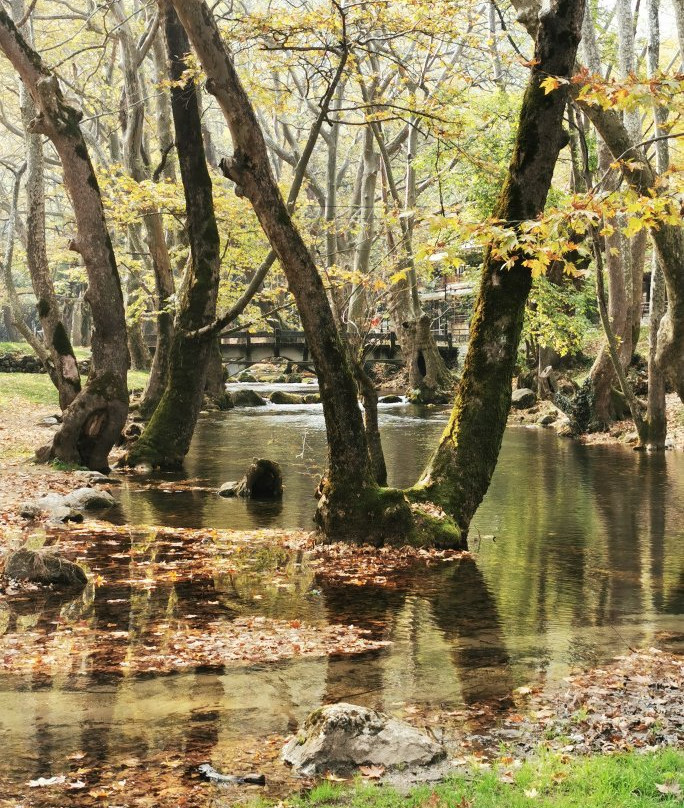 Nisi Margaritas Hotel主图