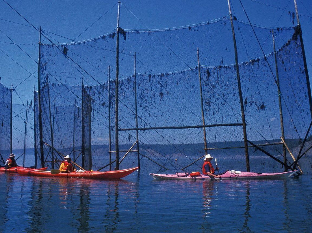 Coastal Adventures景点图片