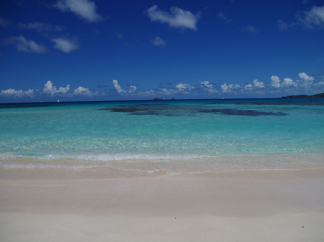 Savannah Bay-维京果岛必去景点