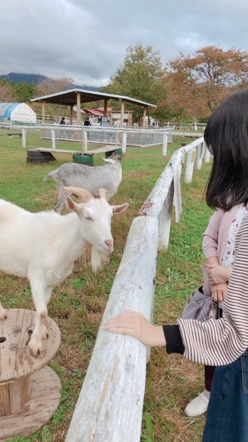 Nakatsugawa City Fureai Farm-中津川市必去景点