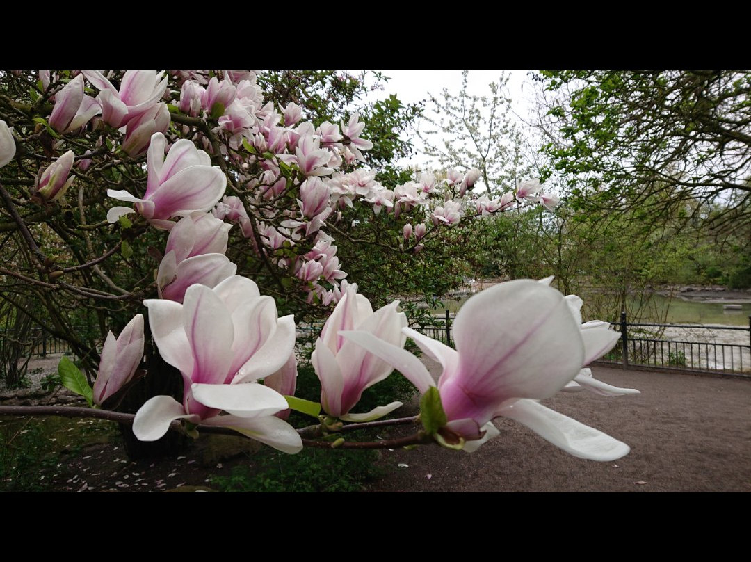 Stadsparken-隆德必去景点