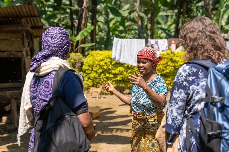 The Small Things-阿鲁沙必去景点