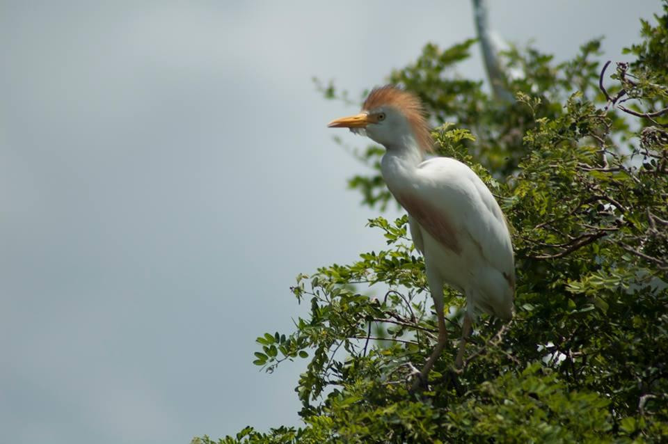 Playas de Catazaja-Catazaja必去景点