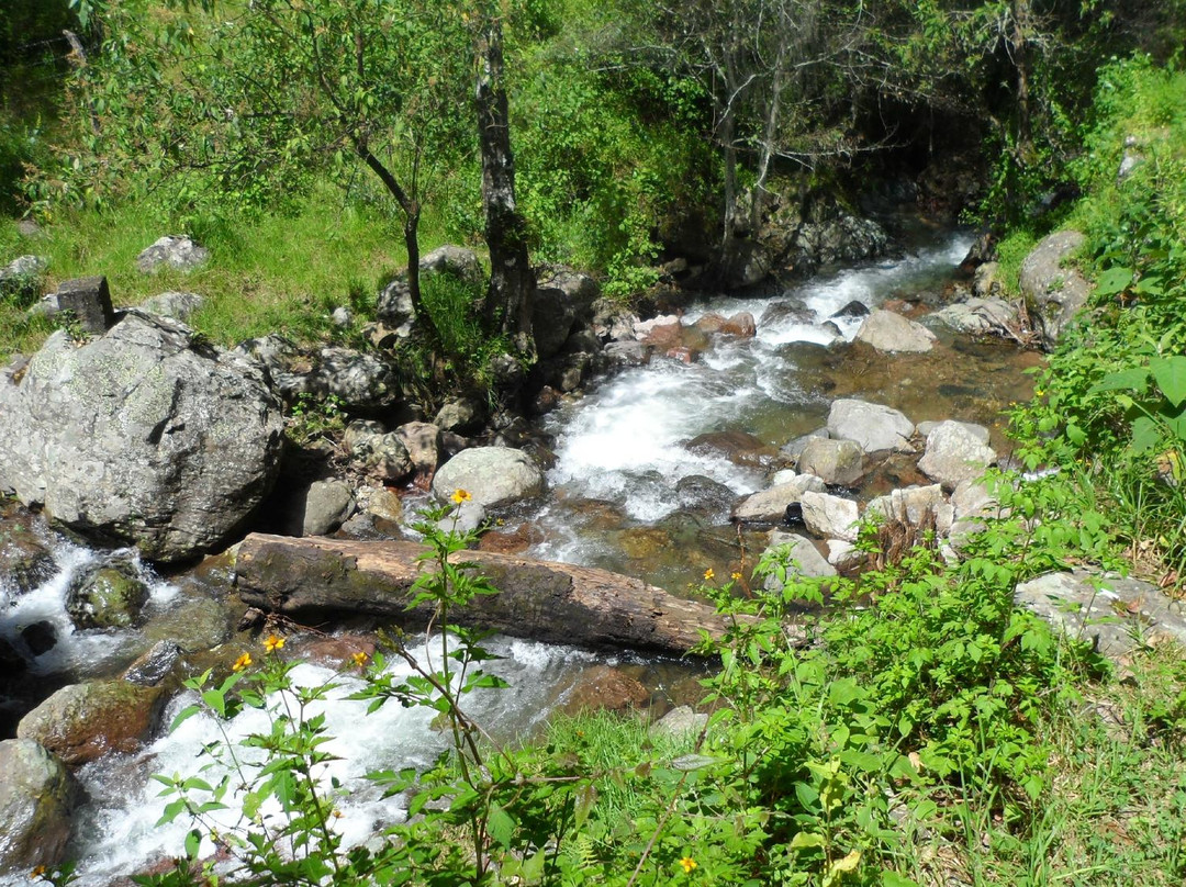 El Chico National Park景点图片