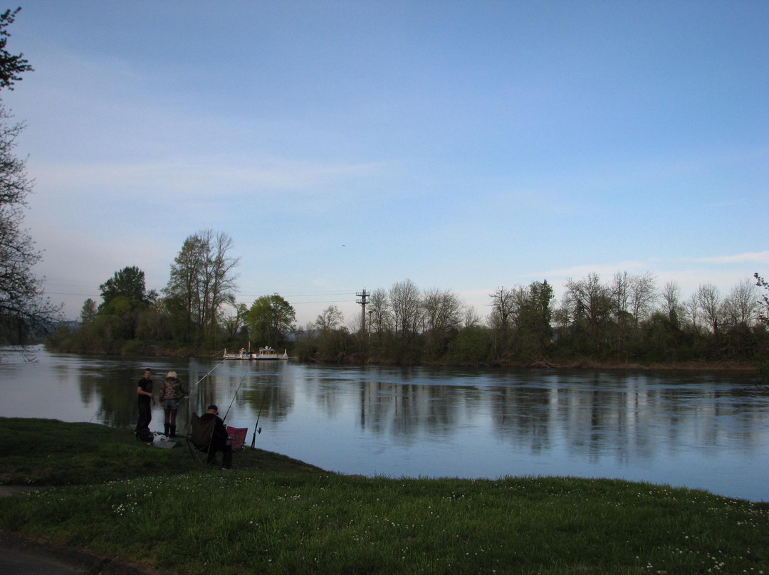 Buena Vista Ferry景点图片