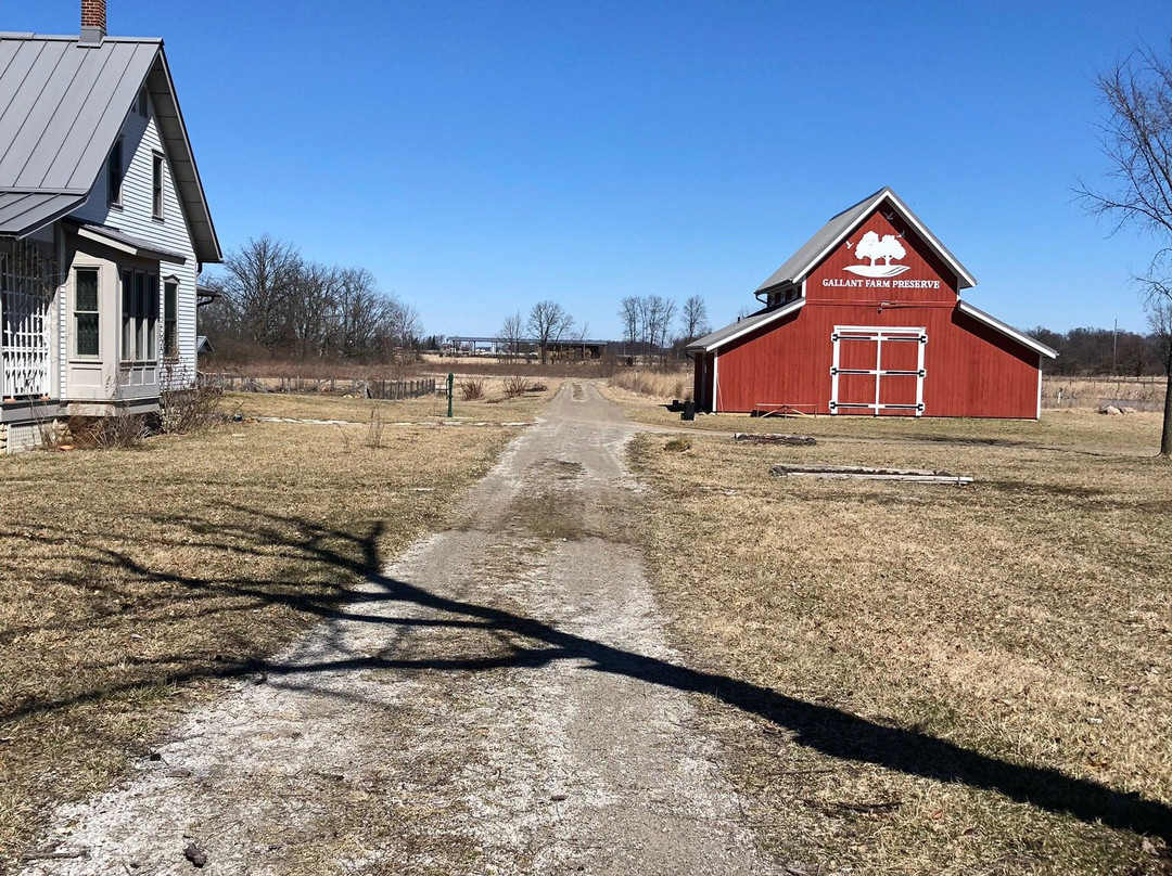 Gallant Farm Preserve