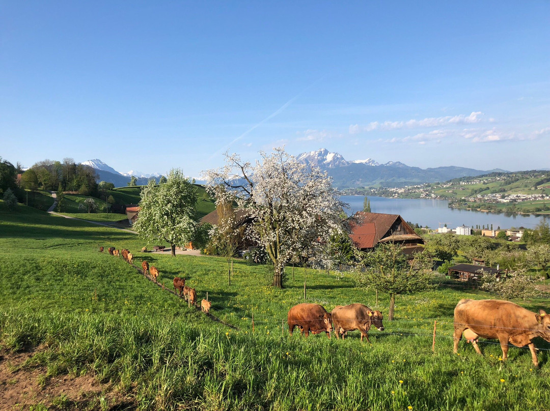 Hof Landschi