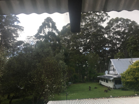 Beedelup House Cottages主图