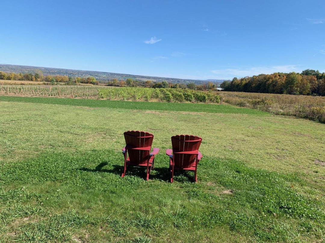 Bet the Farm Winery景点图片
