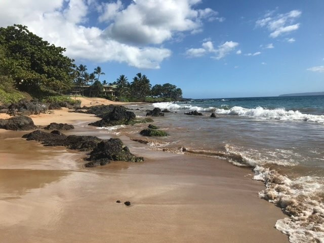 波罗海滩-维雷亚必去景点
