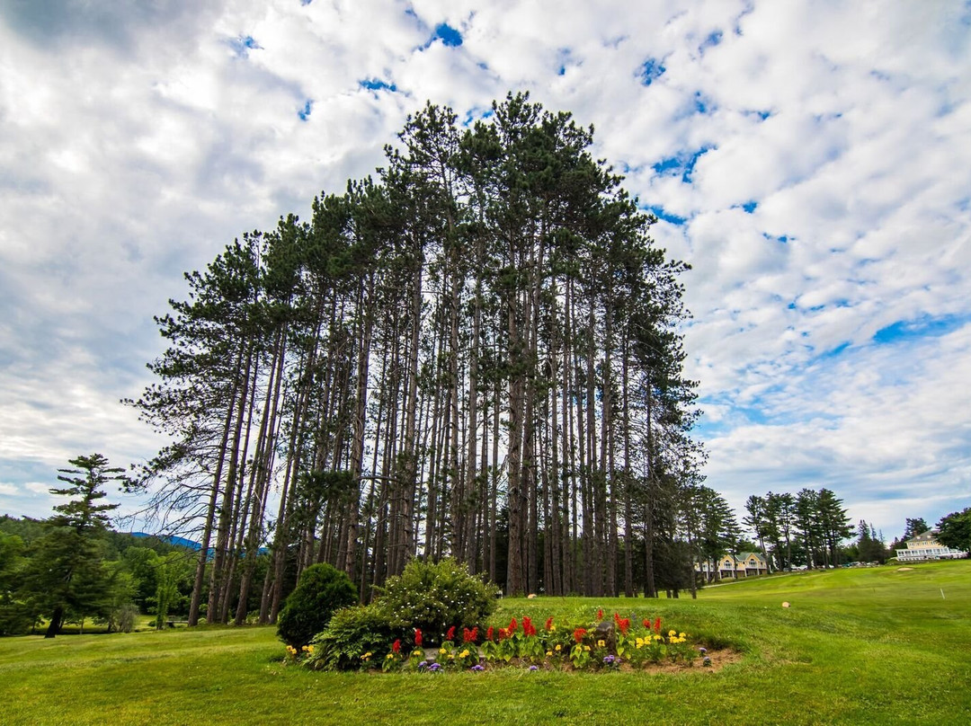 The Bethel Resort & Suite's Golf Course景点图片