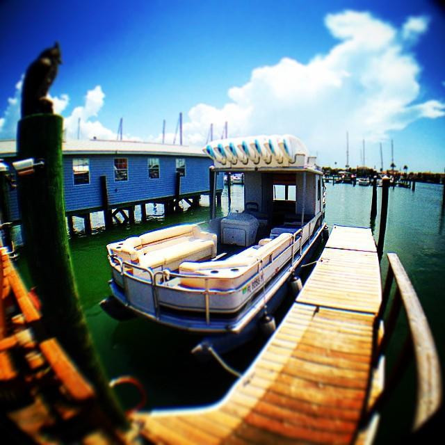 Paddle Out Adventures-克利尔沃特必去景点