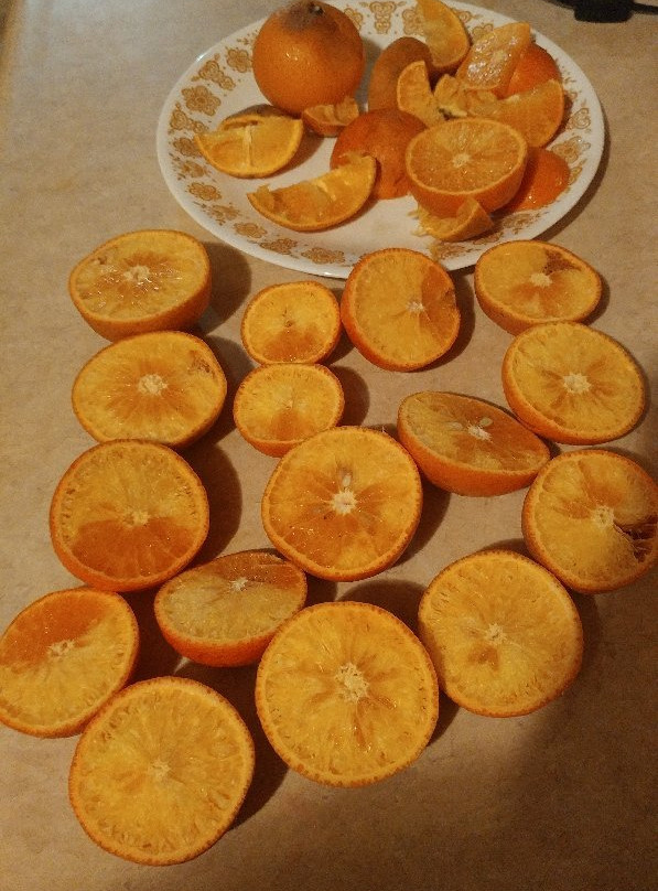 Jennings Citrus