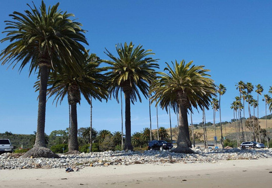 戈利塔旅游景点-Refugio State Beach